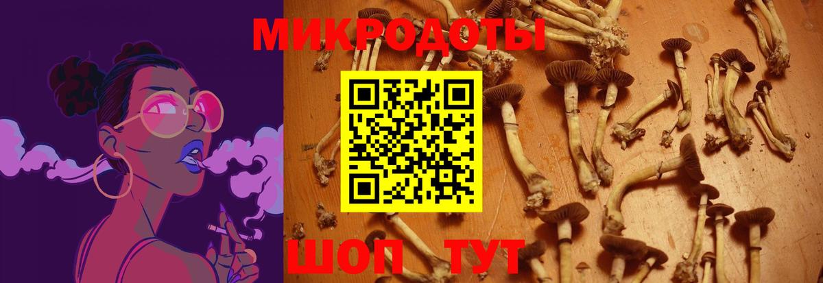 Кохма  Псилоцибиновые грибы Cubensis  Вход с VPN 